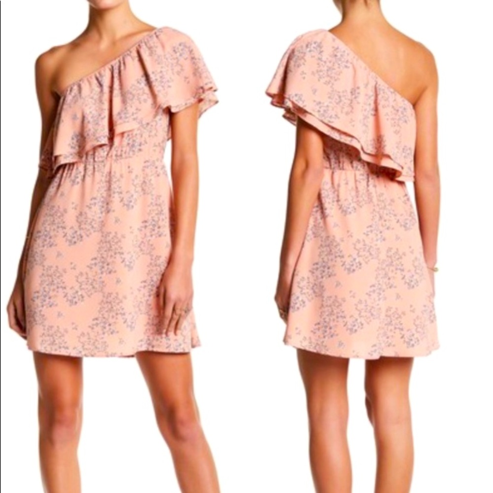 Lush Pink Floral One Should dress